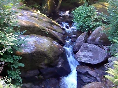 DSCN2414 DSCN2414