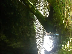 DSCN2409 DSCN2409