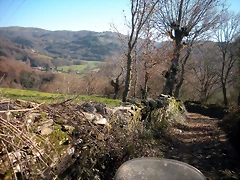 DSCN2279 DSCN2279