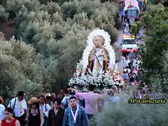 31, llano del cura, marca