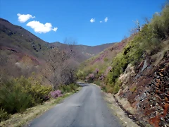 DSCN9517 DSCN9517