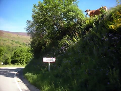DSCN5088 DSCN5088