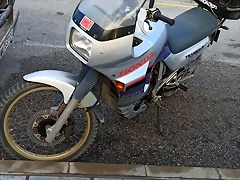 IMG-20210115-WA0002