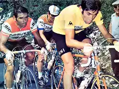 Agostinho-Tour1974-Merckx