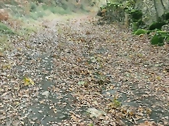 IMG_20231112_165223 IMG_20231112_165223