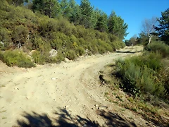 DSCN8841 DSCN8841