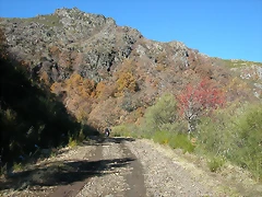 DSCN6829