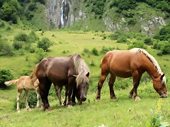 IMG_7677 IMG_7677
