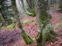 DSCN0756 DSCN0756