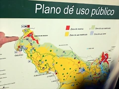 DSCN1727 DSCN1727