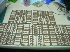 DSCN2872 DSCN2872
