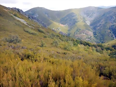 DSCN8663 DSCN8663