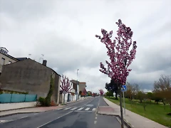 DSCN9167