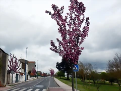DSCN9167'5