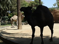 DSC04533 DSC04533