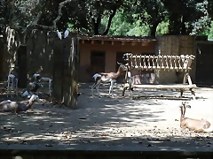 DSC04440 DSC04440