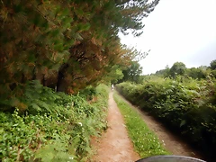 DSCN5325 DSCN5325