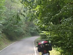 IMG_20220808_153102_1 IMG_20220808_153102_1
