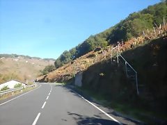DSCN4532 DSCN4532