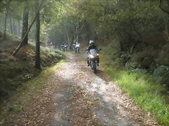 DSCN9751 DSCN9751