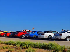 DSC_0698 DSC_0698