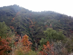 DSCN3094 DSCN3094