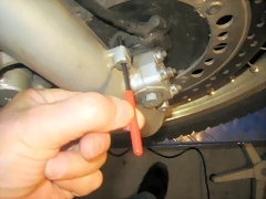 IMG_1286 IMG_1286