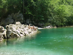 P6230115 P6230115