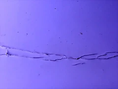 _20190928_233325