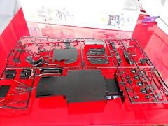 DSCN6954