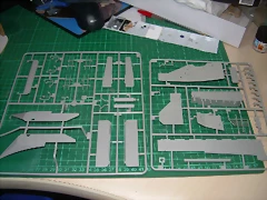 DSCN3054