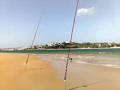 09042011934 09042011934