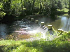 DSCN6620 DSCN6620