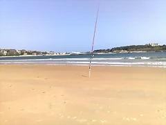 09042011931 09042011931