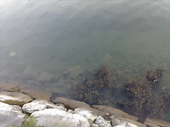 09042011926 09042011926