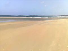 09042011942 09042011942