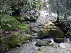 DSCN1703 DSCN1703