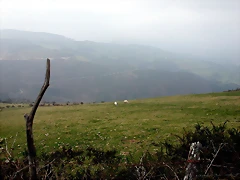 DSCN8150 DSCN8150
