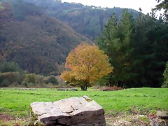 DSCN6260 DSCN6260