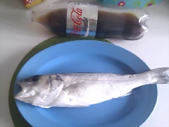 Mi primera lubina Mi primera lubina