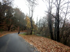 DSCN2149 DSCN2149