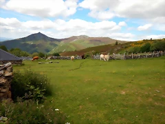 DSCN9313 DSCN9313
