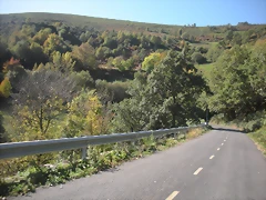 DSCN0065