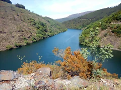 DSCN1195 DSCN1195