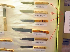 DSCN9736 DSCN9736