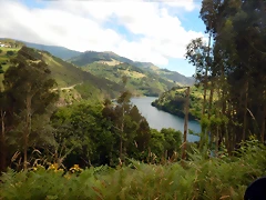 DSCN1573 DSCN1573