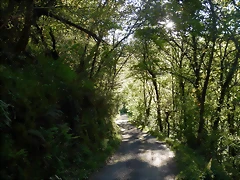 DSCN0179 DSCN0179