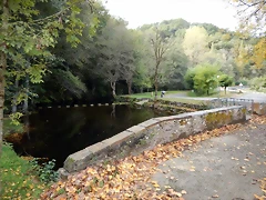 DSCN8276 DSCN8276