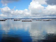 DSCN9791 DSCN9791