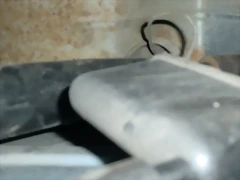 CIMG1413